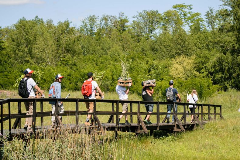 La Reserva Natural de Pilar busca controlar el avance de las especies ex&oacute;ticas que ponen en peligro los &aacute;rboles nativos.