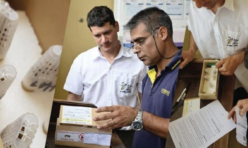 El Servicio Nacional de Sanidad y Calidad Agroalimentaria (Senasa) y el Correo Argentino acordaron un procedimiento que permitir&aacute; el env&iacute;o por v&iacute;a postal de material ap&iacute;cola vivo.