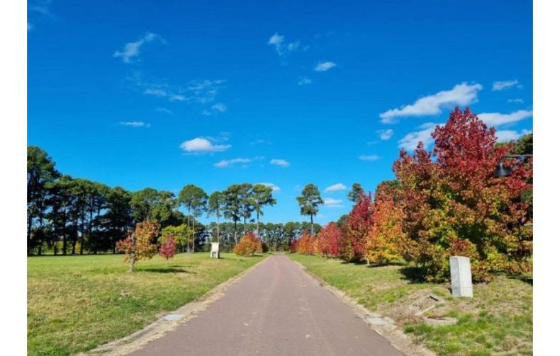 El campo Monte Chico de Exaltación la Cruz donde hoy se casa Nicole Neumann.