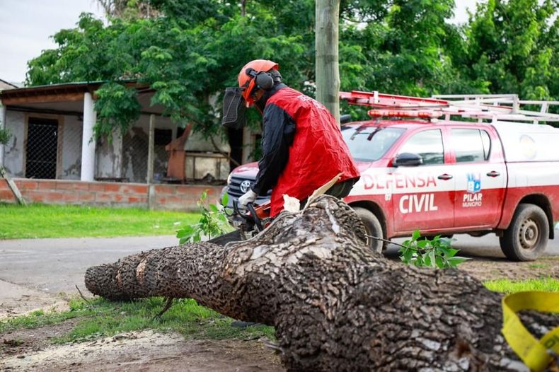 Unos 1.500 agentes municipales est&aacute;n afectados a los operativos tras el temporal.&nbsp;