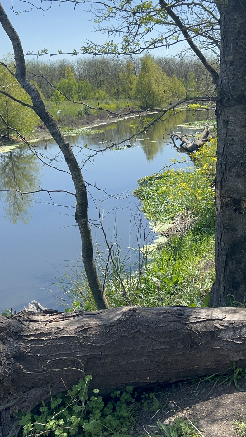 El r&iacute;o Luj&aacute;n, en La Reserva Natural del Pilar