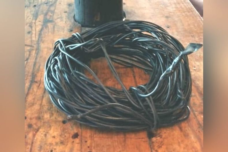 Los roba cables detenidos fueron sorprendidos cuando se encontraban arriba de un poste en la calle Chile y El Chingolo.