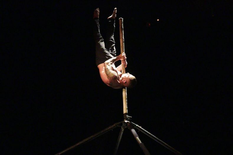 El circo llega al Tribarrial.