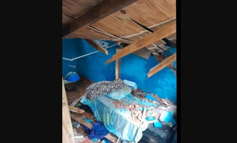 Al &aacute;rbol destruy&oacute; la casa de la familia Sosa en Presidente Derqui.