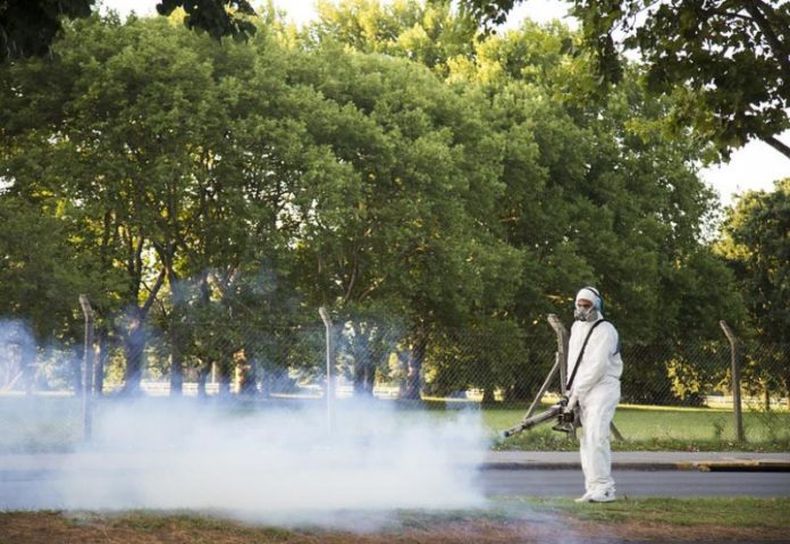 Los casos de dengue en la Provincia aumentaron cuatro veces respecto del a&ntilde;o pasado.&nbsp;