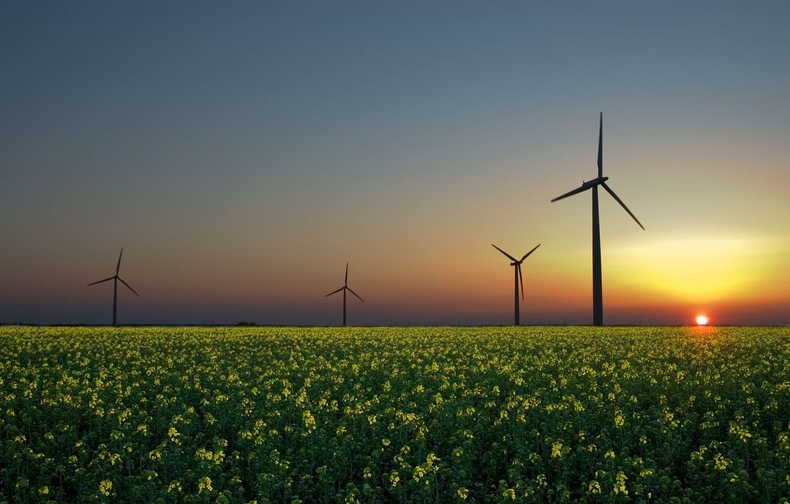 Las empresas YPF Luz y Cementos Avellaneda firmaron un memorándum de entendimiento para desarrollar un proyecto de generación de energía eléctrica renovable.
