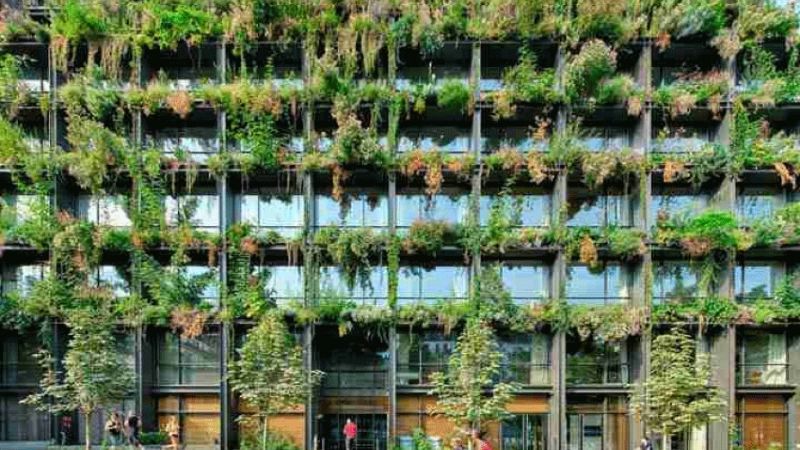 El “EDIFICIO DEL AÑO” es un centro de salud cubierto de plantas medicinales