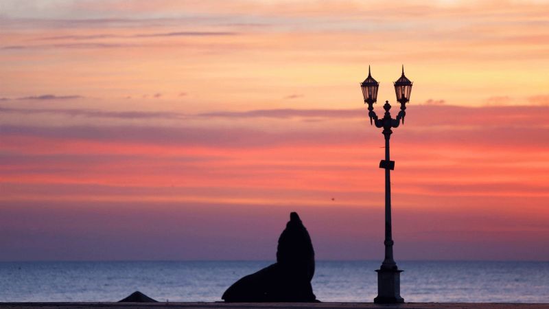 ¿Cuáles son los destinos más elegidos para el fin de semana largo de diciembre?