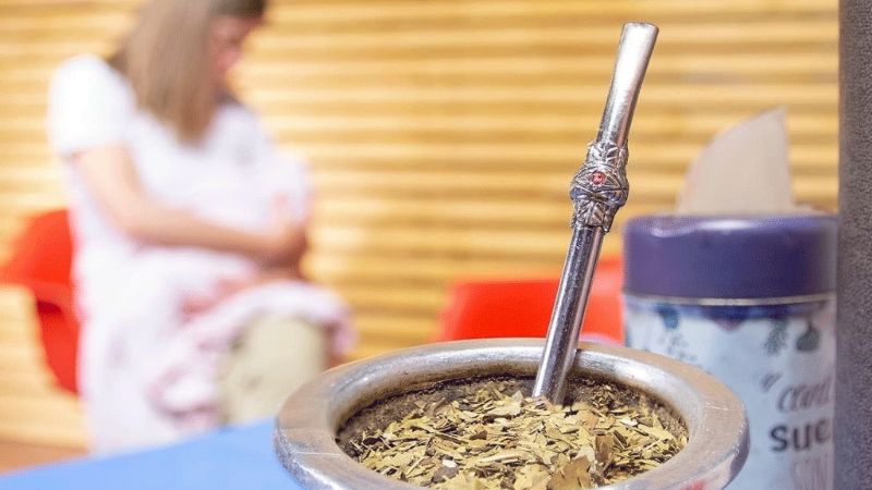 Un estudio asegura que consumir yerba mate durante la lactancia tiene beneficios
