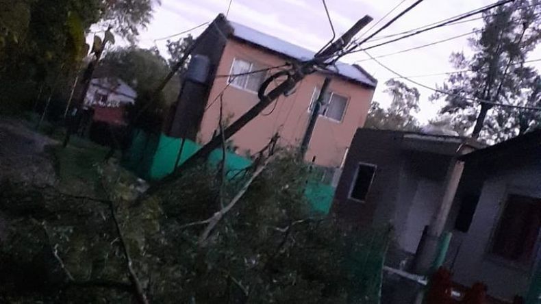 Postes y árboles sufrieron las consecuencias del temporal..