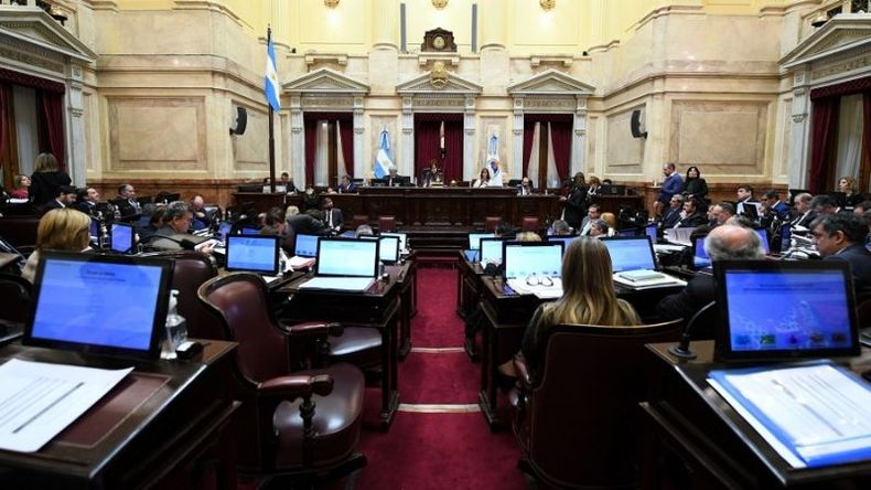 Foto: Prensa Senado..