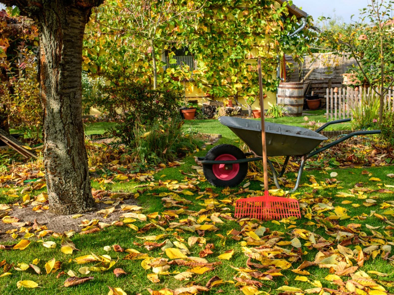 La limpieza del jardín en otoño es útil. (minutoar.com.ar)..webp