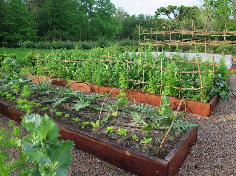 ¡Bienvenida la huerta de primavera! (eneljardín.com)..jpg
