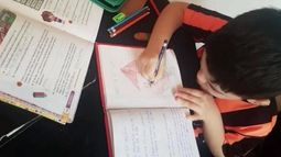 El apoyo escolar demandará una hora por semana a cada voluntario. .