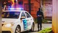 El autor material fue detenido durante un allanamiento realizado en la localidad de Luis Lagomarsino.