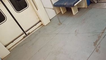 Ahora lo usan de baño también! Viajando en el tren de 3:49 de la madrugada hacia Retiro, personal policial lo bajó en Paternal. Así estamos. Blanca Benitez..