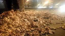Camionero alcoholizado volcó en Panamericana