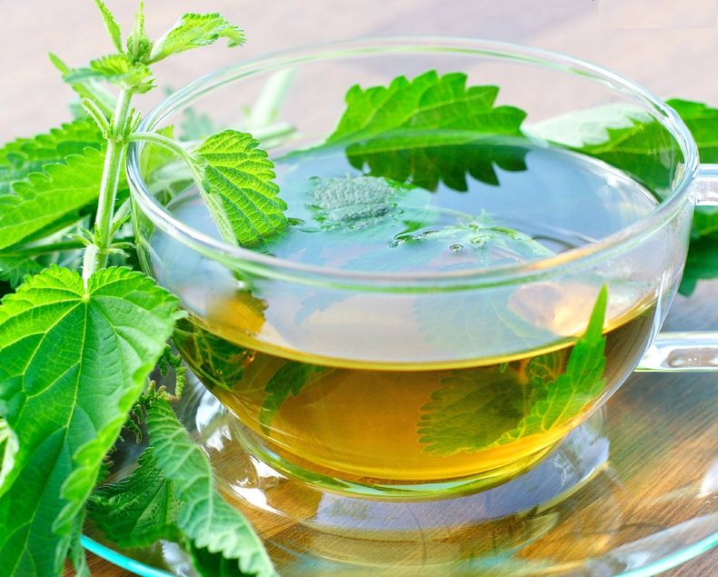 Té de Ortiga. (blogspot.com).jpg