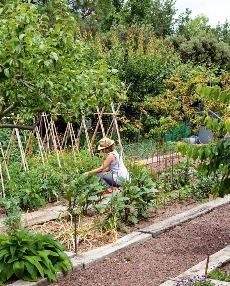 Huerta de primavera. (Pinterest).