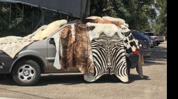 #MundoColectora