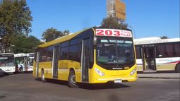 La 203 fue una de las líneas que no funcionó durante el jueves.