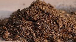 La turba: el abono perfecto para las plantas