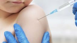 El Gobierno dispuso que la vacuna contra la fiebre amarilla no sea más gratis para quienes viajen, excepto en provincias con riesgo de transmisión.