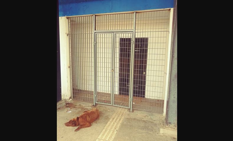 Los baños de la estación Manuel Alberti, cerrados.