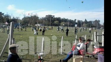 Remonta vuelo
