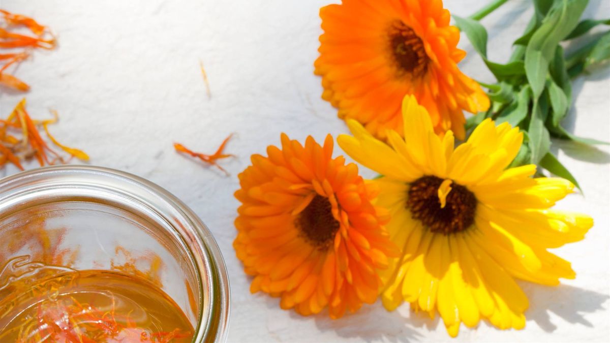 15 Flores comestibles para oler y saborear