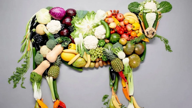 dia mundial del veganismo: ¿por que se celebra hoy?