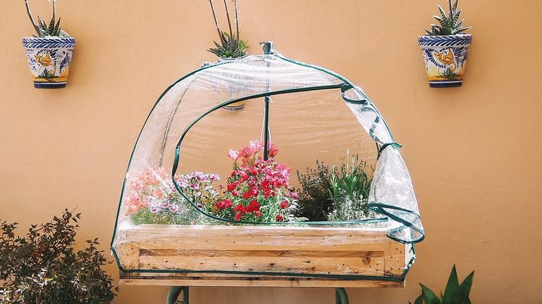 planificar cómo proteger el jardín.(cocinavital)..jpg
