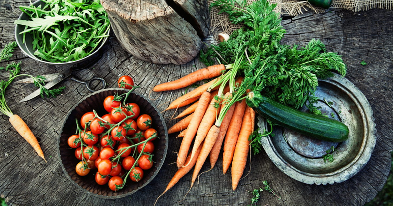 Tareas para realizar en la huerta en agosto. (allegrow.be)..png