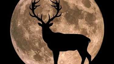 luna llena en capricornio: ¿que significa y como aprovechar su energia?