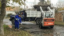 Correo de lectores: Respuesta del Municipio al pedido de levantamiento de ramas