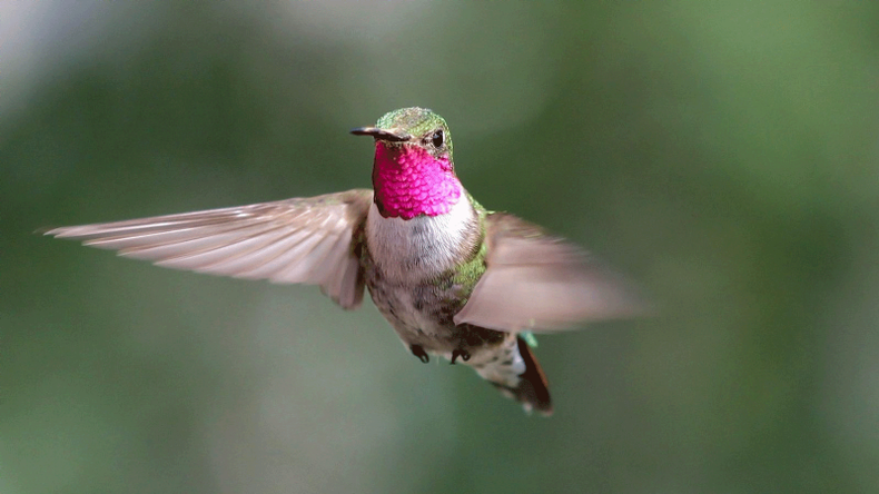 f800x450 119511_170957_5050.png