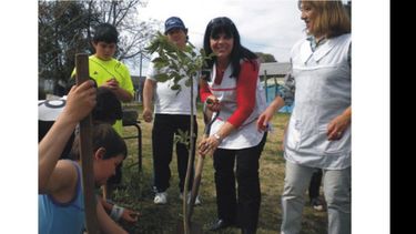 Autoridades y docentes de la Escuela Nº 12 plantan un ceibo..