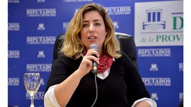 QUEJAS. Portos llevó la problemática a la Legislatura..