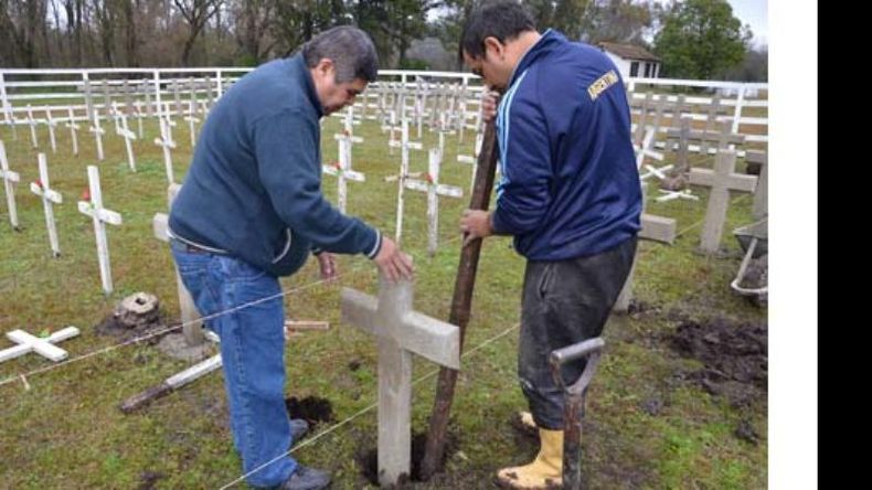 Los veteranos en plena tarea, ayer por la mañana..