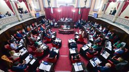 EN TRÁMITE. El Senado bonaerense ya le dio media sanción a la iniciativa.