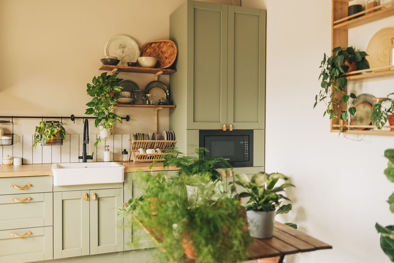 Plantas para la abundancia en la cocina. (victorcastro.mx)..png