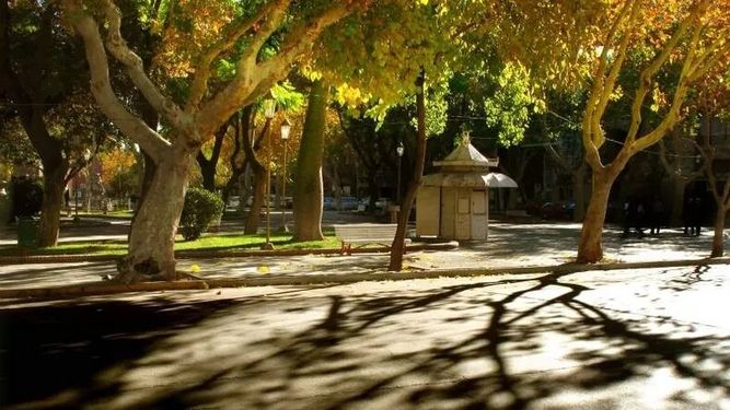 La máxima, durante todos los días de esta semana, será de al menos 17°C en Pilar según anticipa el SMN. Se acerca la primavera, sin precipitaciones.