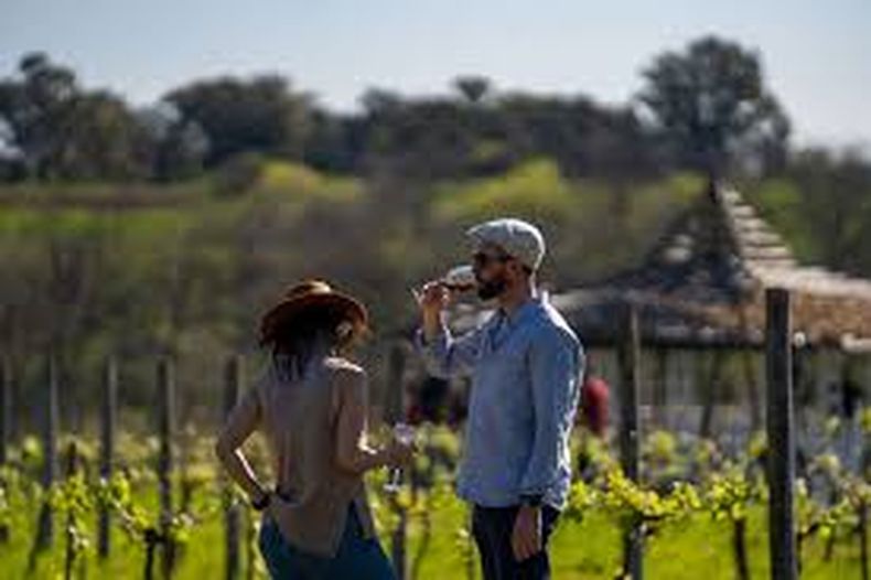 Enoturismo en Buenos Aires. (Vinos y Pasiones).
