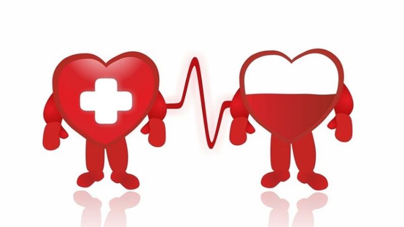 f800x450 73589_125035_5050.jpg