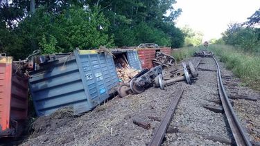 Descarriló un tren a la altura del Parque Industrial