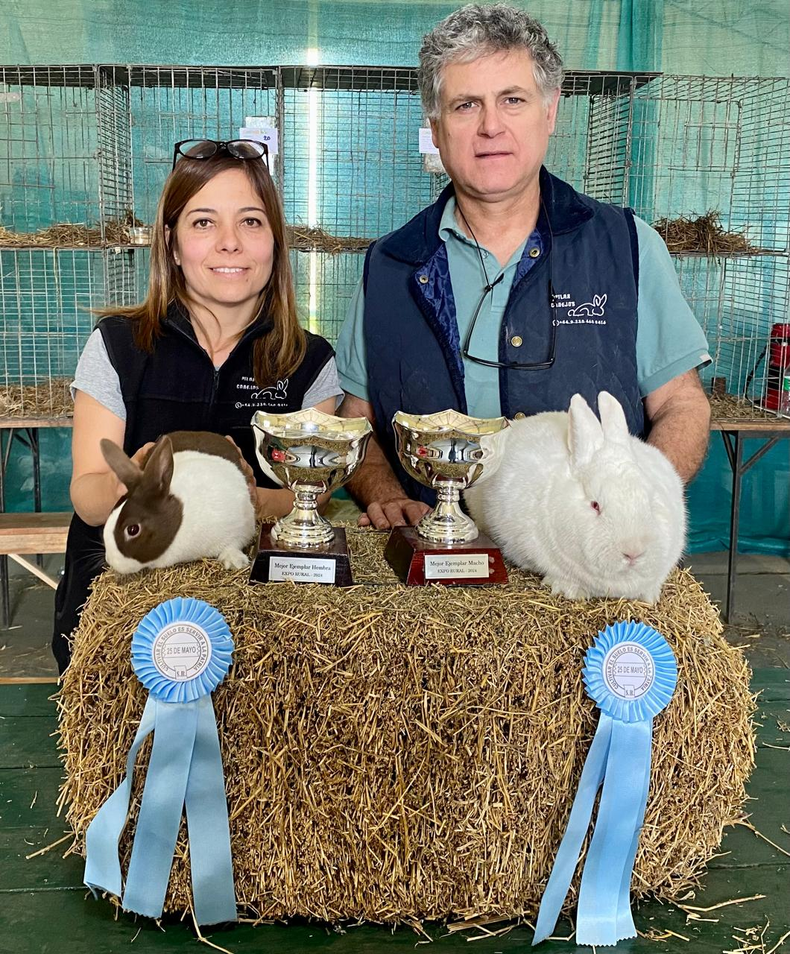 PREMIADOS. Conejos del Pilar volvi&oacute; a arrasar el tres muestras seguidas.