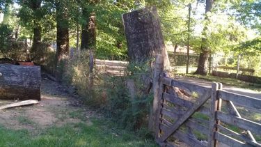 un roble cayo sobre la casa de un vecino de la lonja