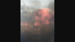 Casi 20 hectáreas se quemaron en la localidad de Manzone en un impactante incendio.