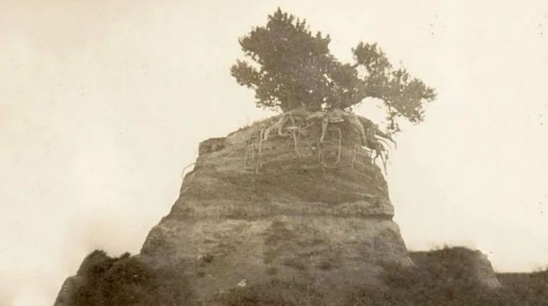 foto con histpria web.jpg