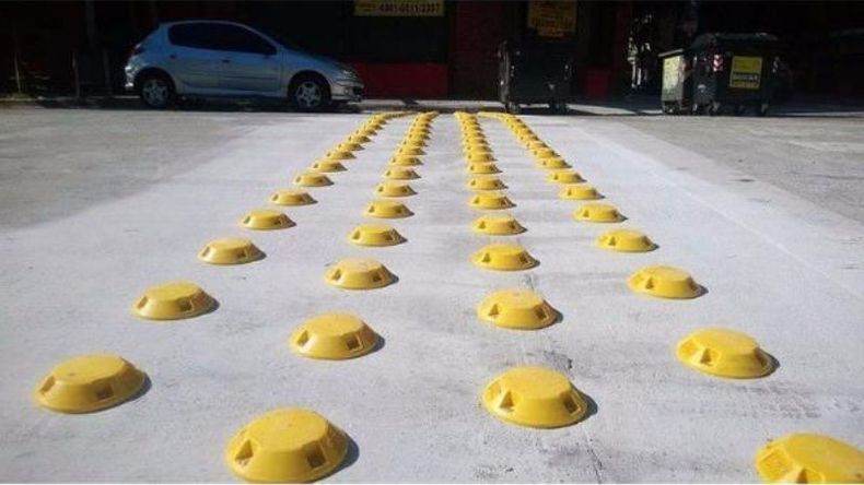 La anterior gestión de Gobierno gastó 12 millones de pesos en la compra de tortuguitas. .